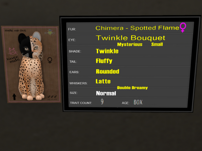 KittyCatS Box - 9T Spotted Flame 44