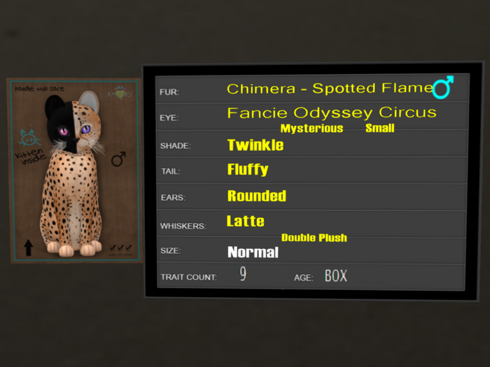 KittyCatS Box - 9T Spotted Flame 45