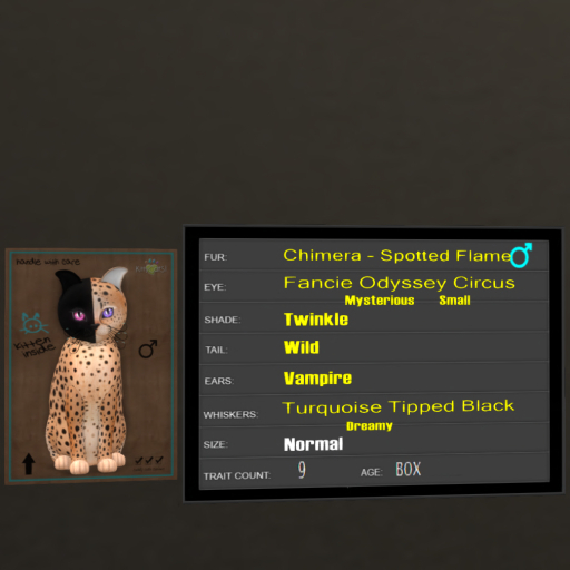 KittyCatS Box - 9T Spotted Flame 9