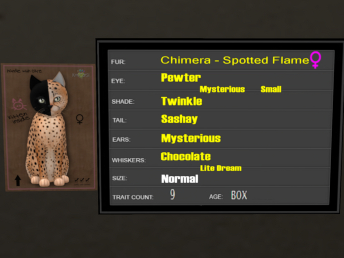 KittyCatS Box - 9T Spotted Flame 6