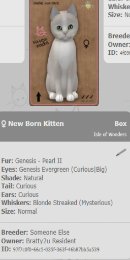 KittyCatS Box - New Born Kitten 4T