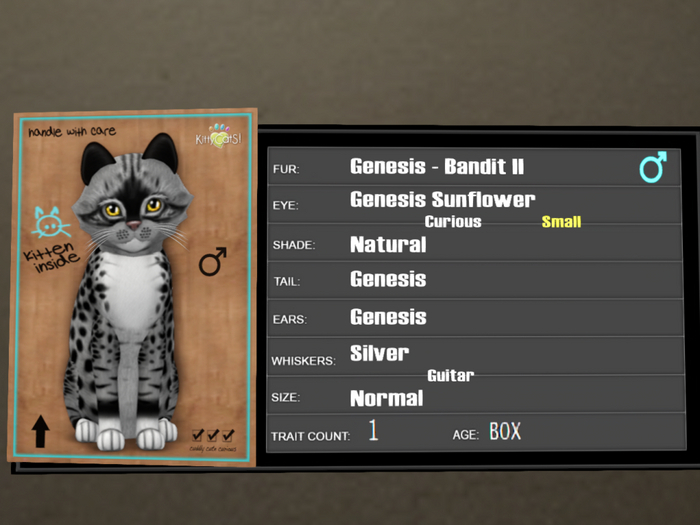 KittyCatS Box - 0T Genesis Bandit II 2