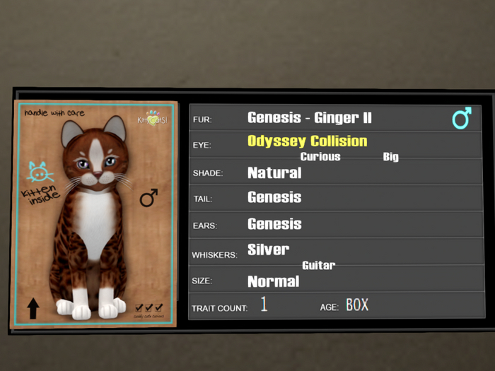 KittyCatS Box - 1T Genesis Ginger II 5