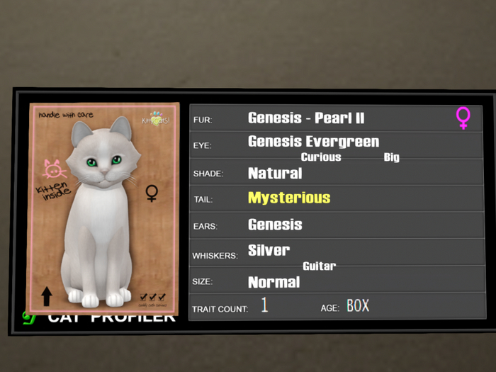 KittyCatS Box - 1T Genesis Pearl II 11