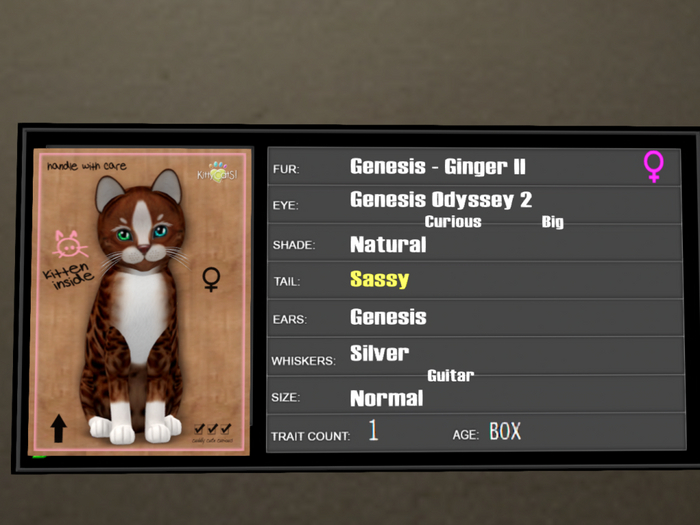 KittyCatS Box - 1T Genesis Ginger II 3