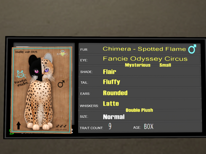KittyCatS Box - 9T Spotted Flame 53