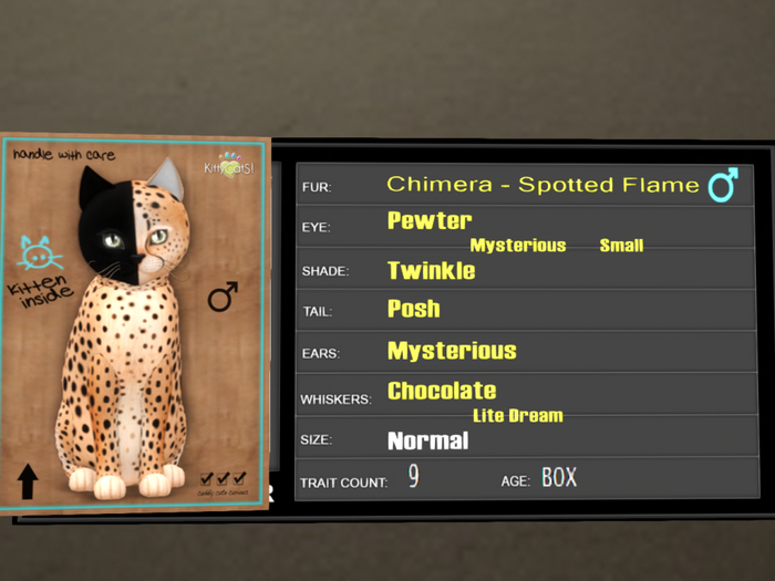 KittyCatS Box - 9T Spotted Flame 48