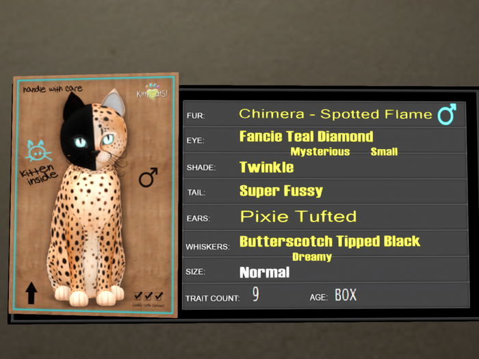 KittyCatS Box - 9T Spotted Flame 50