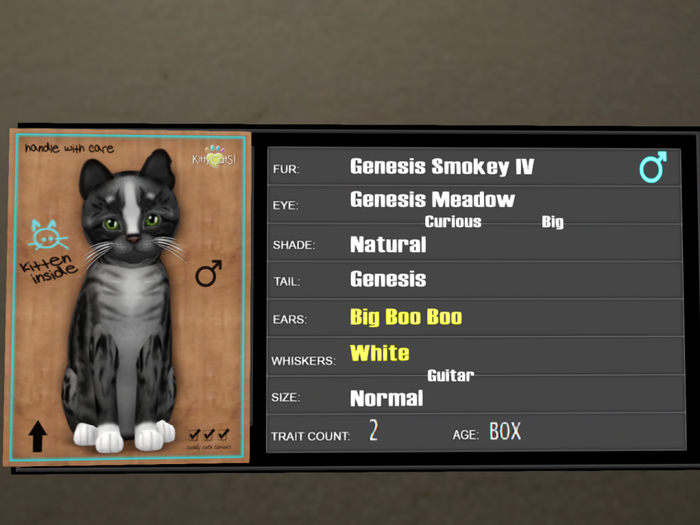 KittyCatS Box - 2T Genesis Smokey IV 4