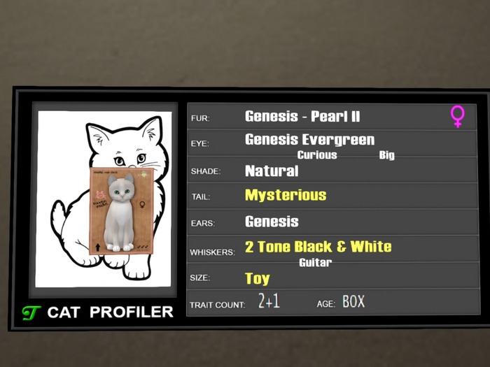 KittyCatS Box - 2T+1 Genesis Pearl II Toy