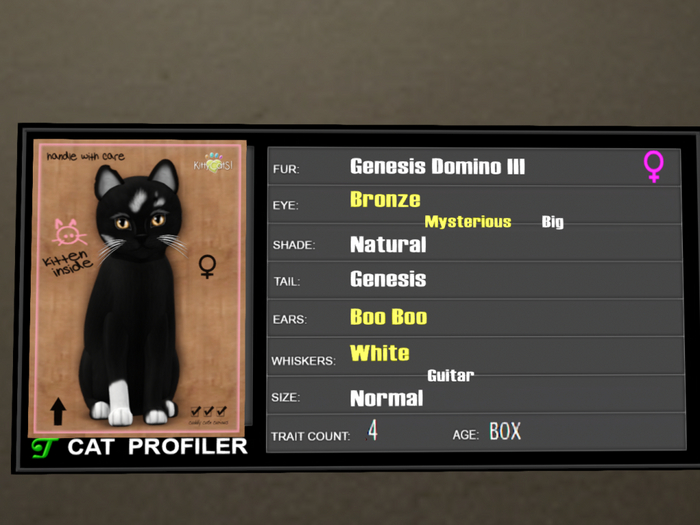 KittyCatS Box - 4T Genesis Domino III 2