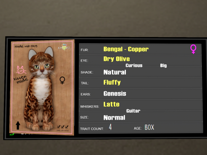 KittyCatS Box - 4T Bengal Copper 5