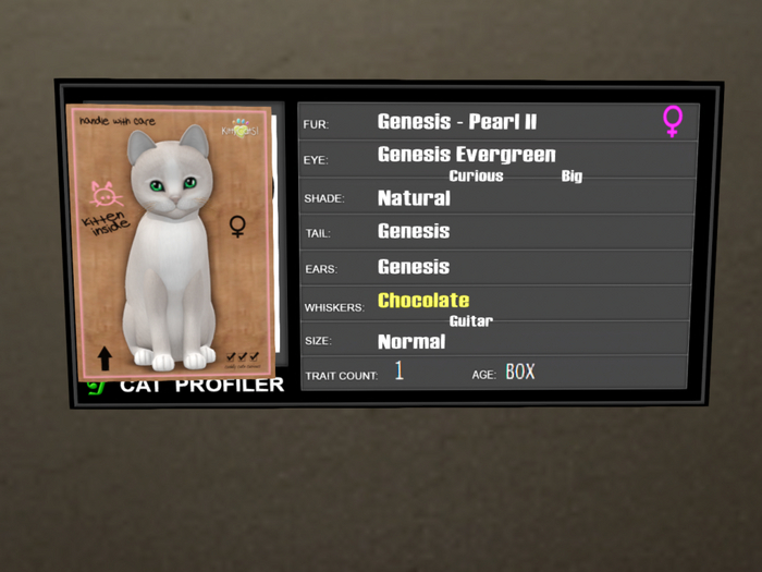 KittyCatS Box - 1T Genesis Pearl II 8 1