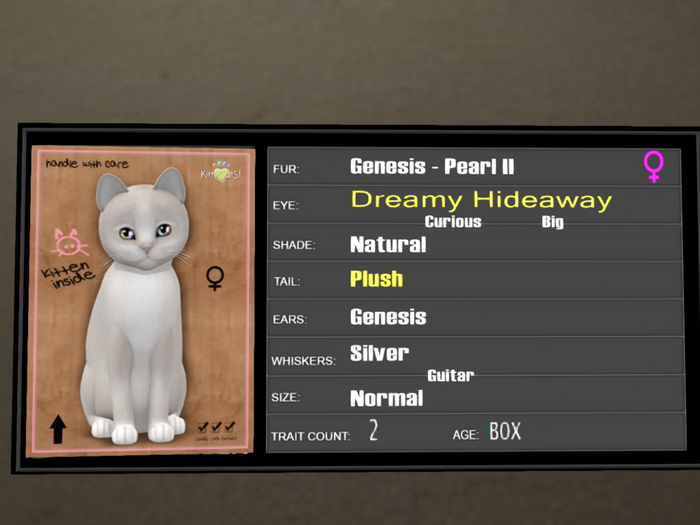 KittyCatS Box - 2T Genesis Pearl II 6