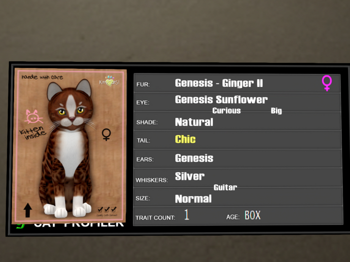 KittyCatS Box - 1T Genesis Ginger II 4
