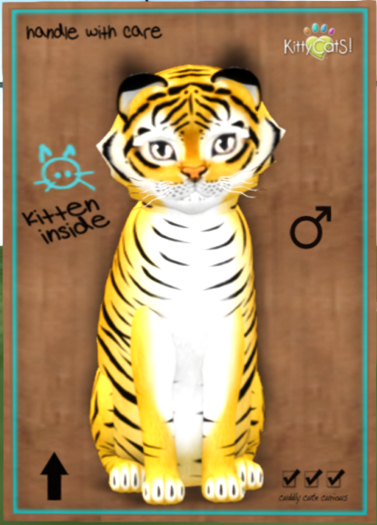 KittyCatS Box - Tiger! - Golden Ticket