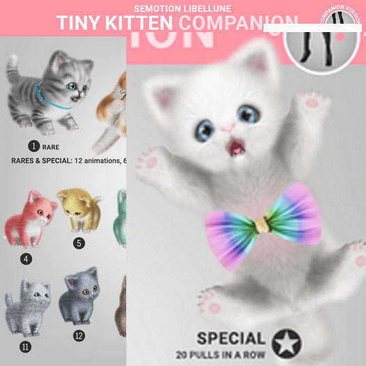 SEmotion Libellune Tiny Kitten Companion SPECIAL