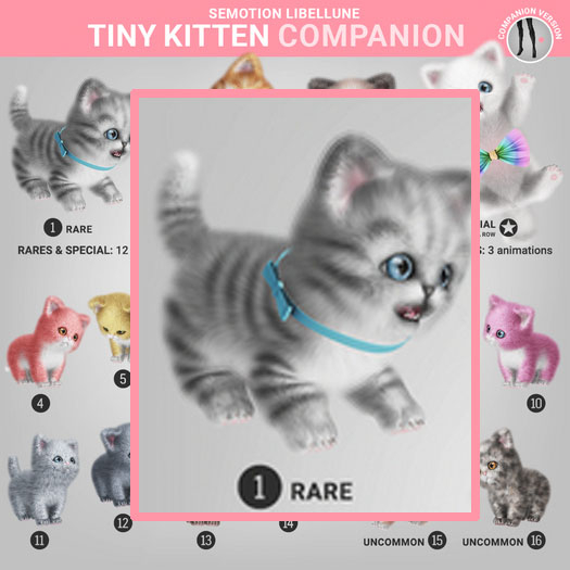 SEmotion Libellune Tiny Kitten Companion RARE 01