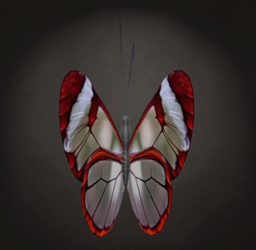 {Papillon} Fe/Med/Vib/Fey/Butterfly/Magnus/Glasswing Cocoon