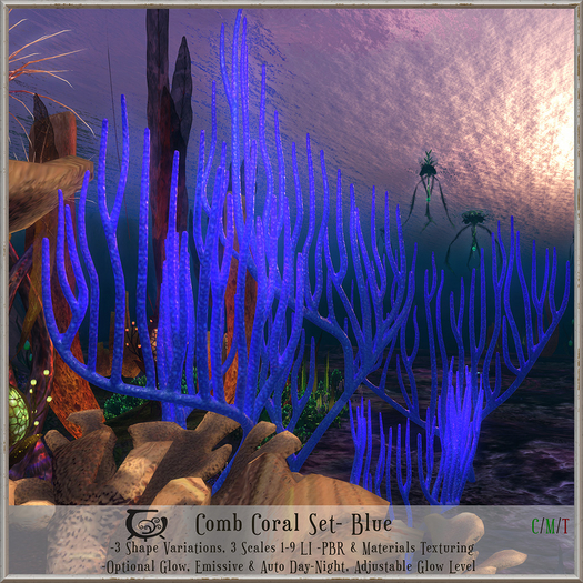 [CC] Comb Coral- Blue