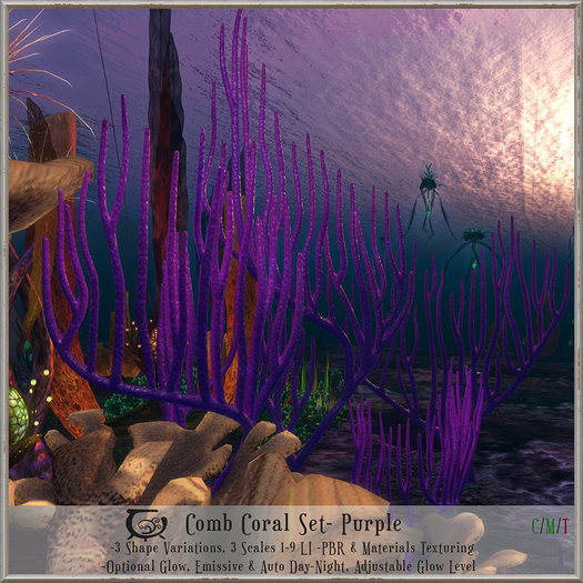 [CC] Comb Coral- Purple