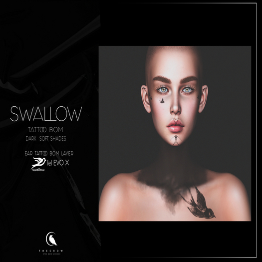 T H E  C R O W - SWALLOWS TATTOO EVOX UPDATE
