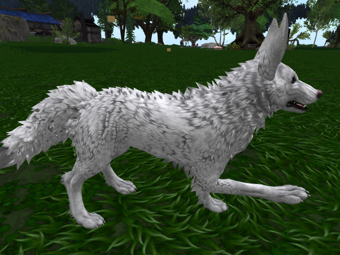 Rez To Unpack White Wolf