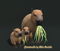 10. Mutresse-Chill Capybaras