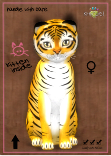 KittyCatS Box - Tiger! - Golden Ticket