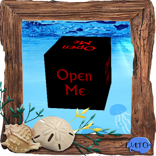 (7S) Common Stuff: Hawaiian Swim Trunks Box