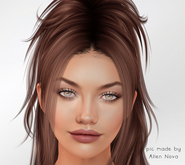 LOTUS. Extacy Eyes 06 BOX - SALE !