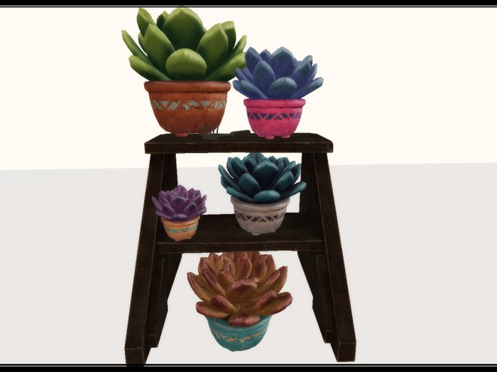 [AE] Home & Garden - Potted Succulent Display on Shelf 3
