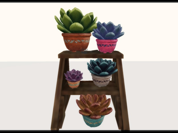 [AE] Home & Garden - Potted Succulent Display on Shelf 2