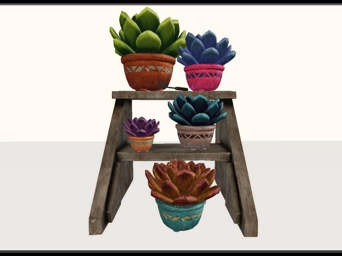 [AE] Home & Garden - Potted Succulent Display on Shelf 1