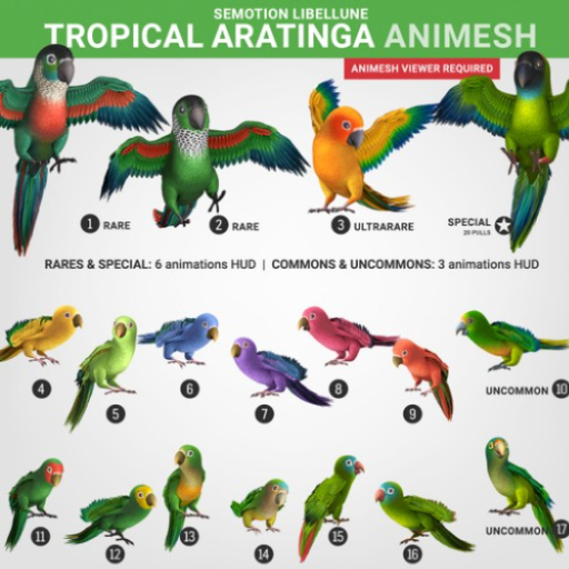 SEmotion Libellune Tropical Aratinga Animesh RARE 02