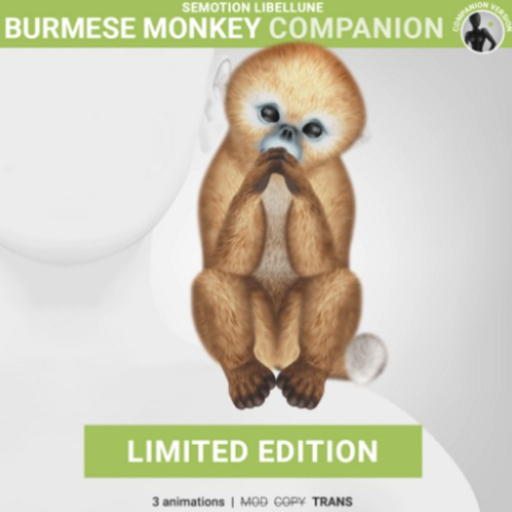 SEmotion Libellune Burmese Monkey Companion LIMITED