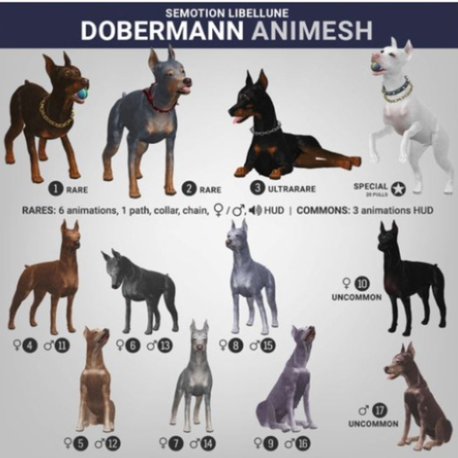 SEmotion Libellune Dobermann Animesh #1 RARE