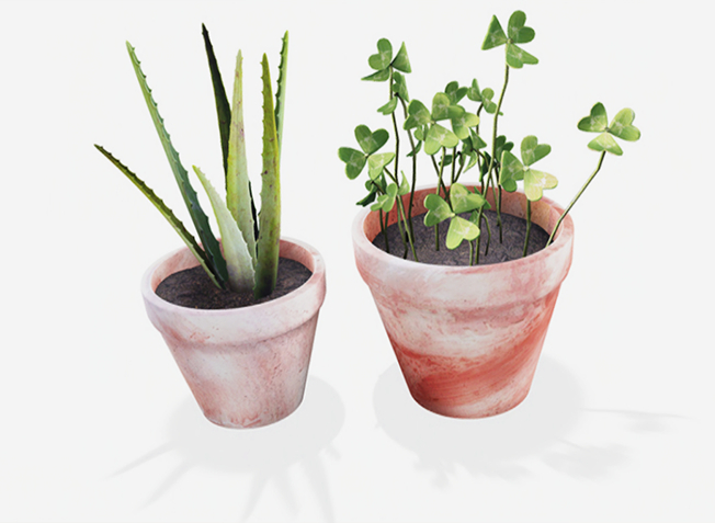 ionic : The patio plants
