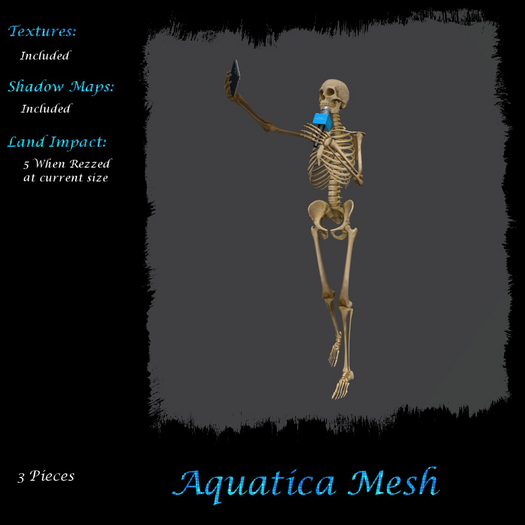 Aquatica Mesh - AM025979 Influencer Skelly