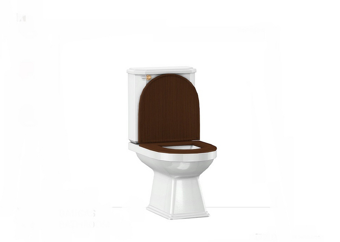 Toilet Full Perm