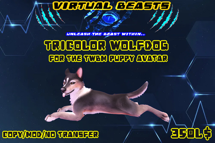 \\\ VB ///  TWBM Puppy Tricolor WolfDog