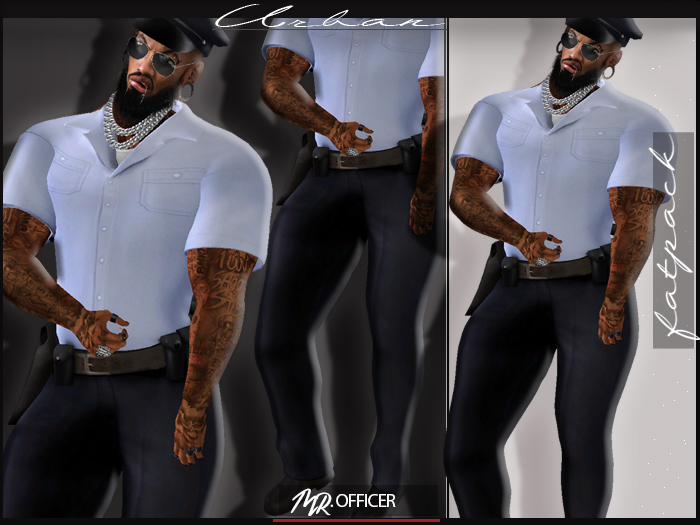 .:DIZ:. MR.OFFICER DEMOS