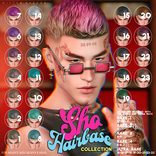 22. [MR] Sho Hairbase Collection ULTRA RARE (EVOX)