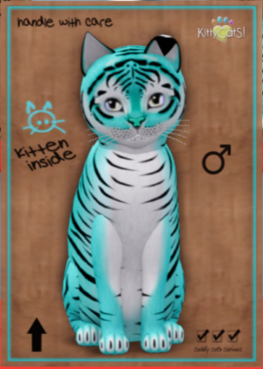 KittyCatS Box - Tiger! - Turquoise