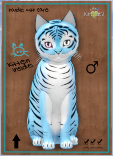KittyCatS Box - Tiger! - Powder Blue