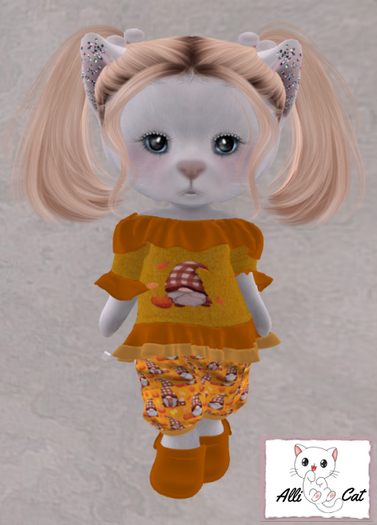 Gnome Fall Pants Dress Set