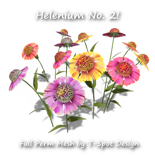 T-Spot Mesh - Helenium No. 2 - FP - LI=0.5-1.2