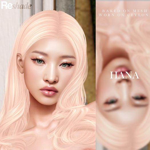 (RESHADE X VELOUR) - HANA SHAPE [EVOX]