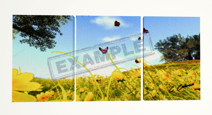 Butterflies - Three Panel Canvas Display