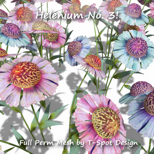T-Spot Mesh - Helenium No. 3 - FP - LI=0.5-0-9